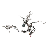AUDI A3  WIRING SET 5Q1-971-111-CH